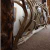 Antler banister